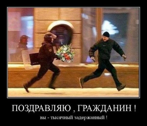 113.jpg