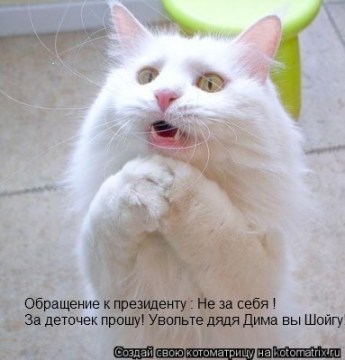 СТРОПТИВОЙ !.jpg