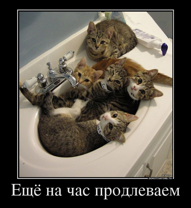 35320734_eschyo-na-chas-prodlevaem.jpg