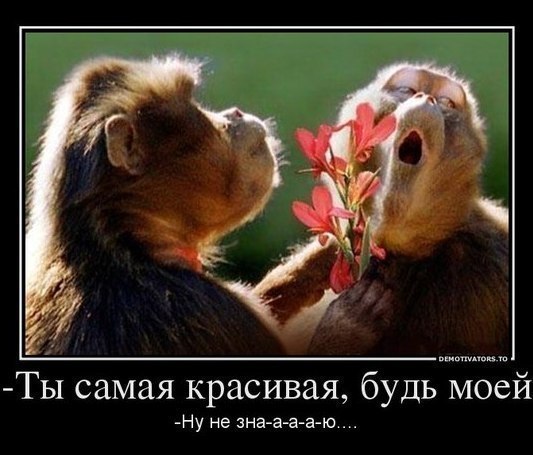 0734af7204.jpg