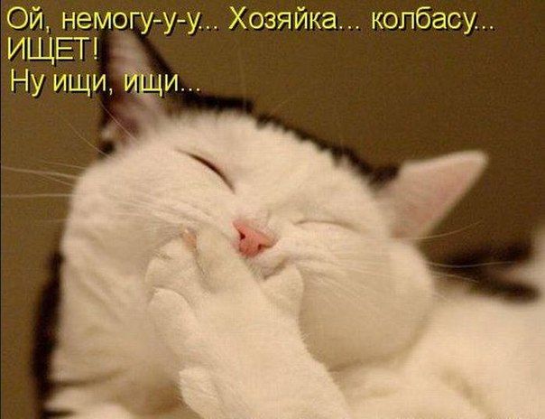 85bea3f52001c1850ba007504c08d7b9.jpg