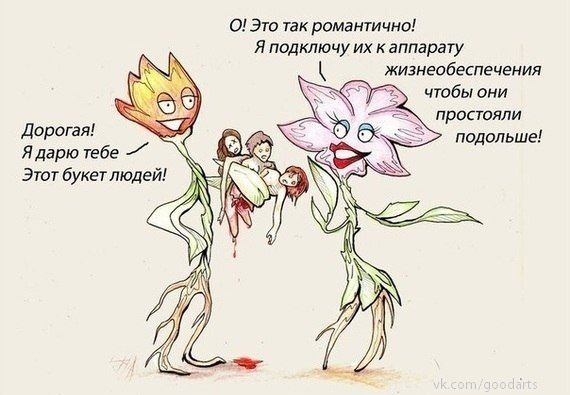 9e585e707142a21ca2f30d141d70ff65.jpg