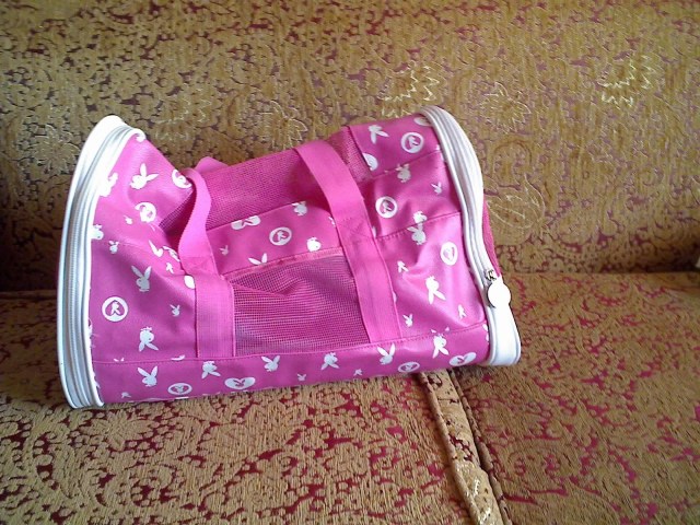 08-11-11_1614.jpg