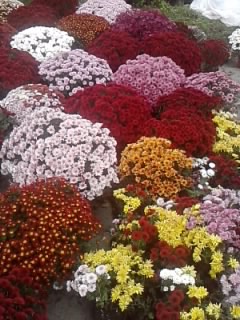 P261013_10.57.jpg