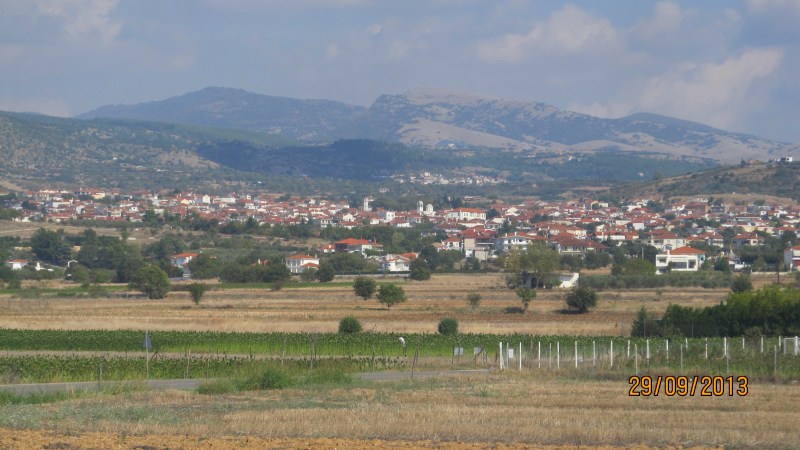 228.jpg