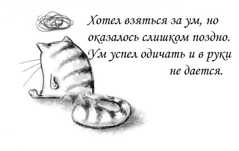 7129.jpg