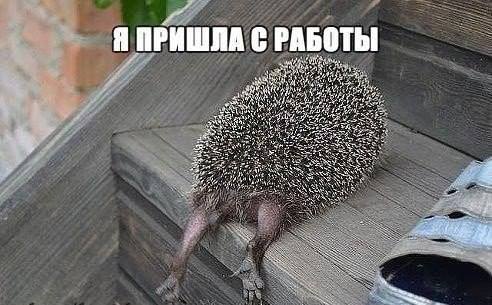 995847_793916057302435_1031150364_n.jpg