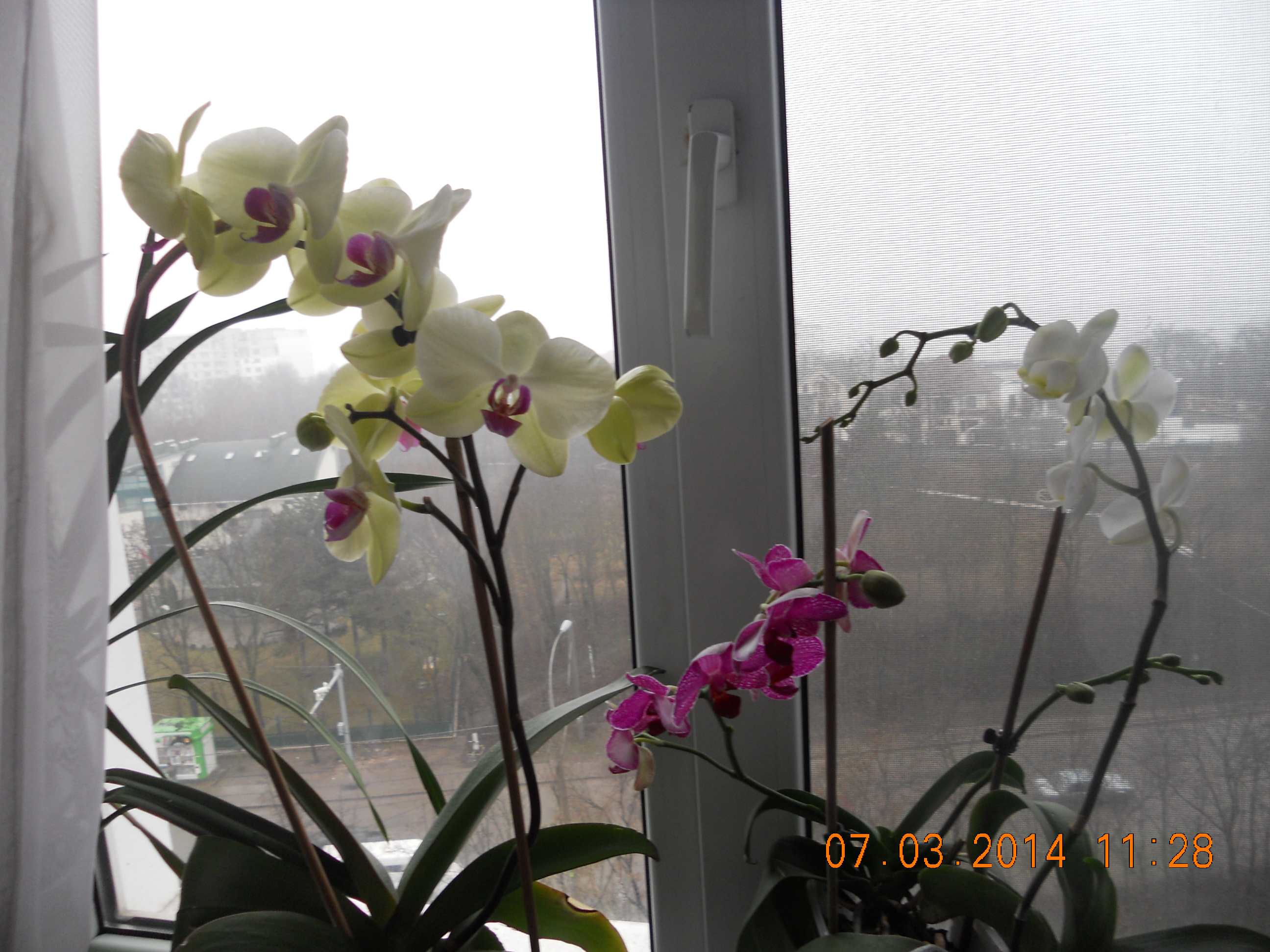 DSCN1010.JPG