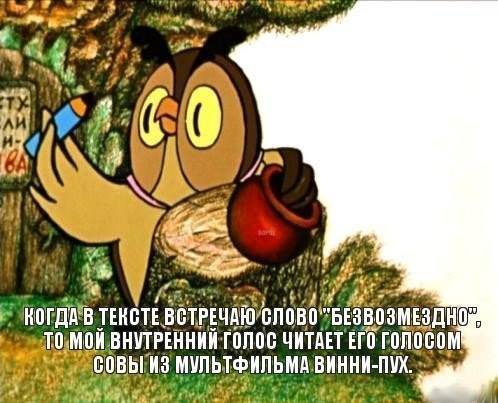 .jpg