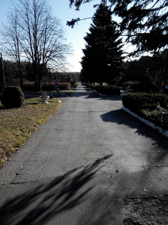 20141104085432.jpg