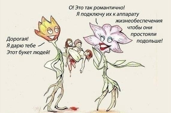 .jpg