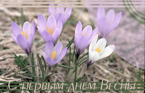 день весны.jpg