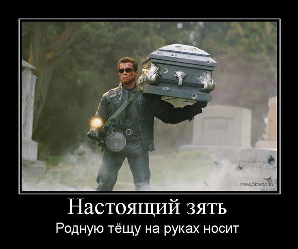 7330125.jpg