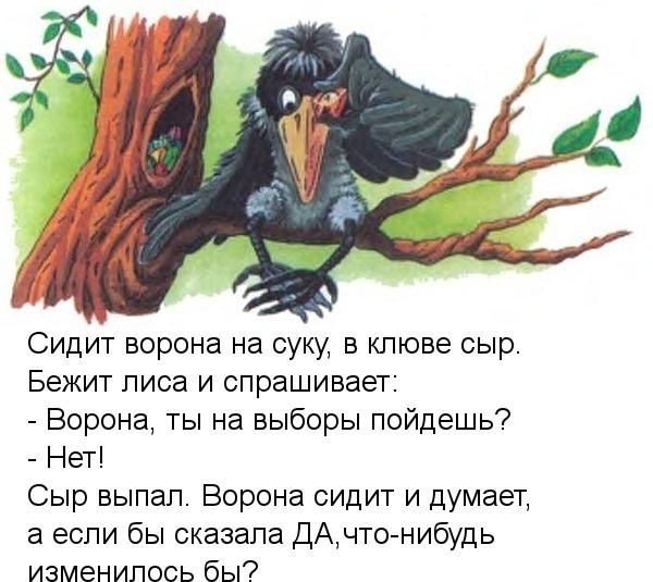 image11.jpg
