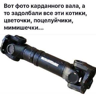 55.jpg