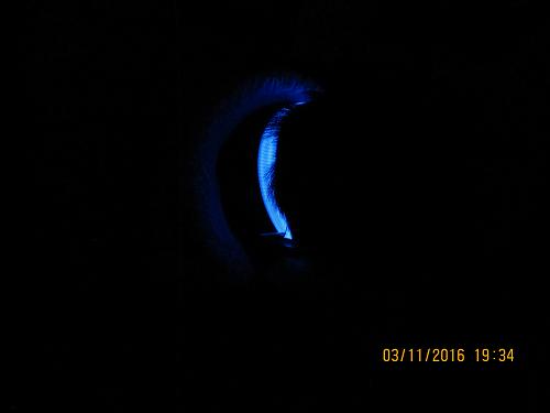 IMG_5163.jpg