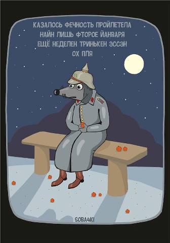 25.jpg