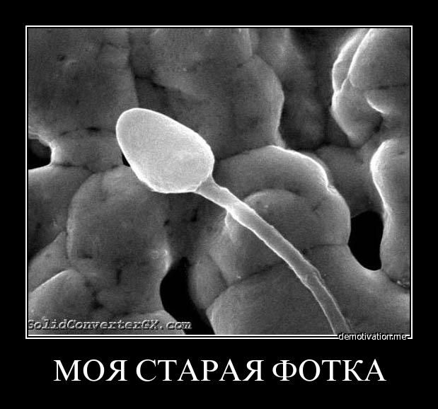 demotivator-033.jpg