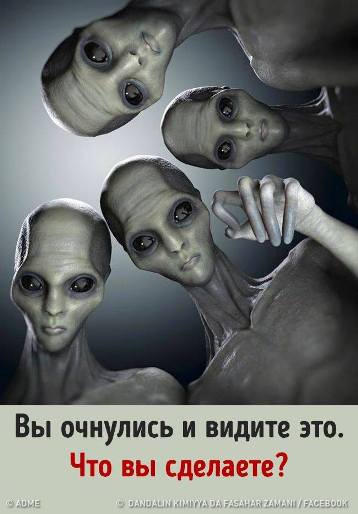 34469778_10155691311580172_3732231476763164672_n.jpg