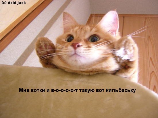 !cid_013a01c8b051$60c10080$6e82070a@baltmaximus.jpg