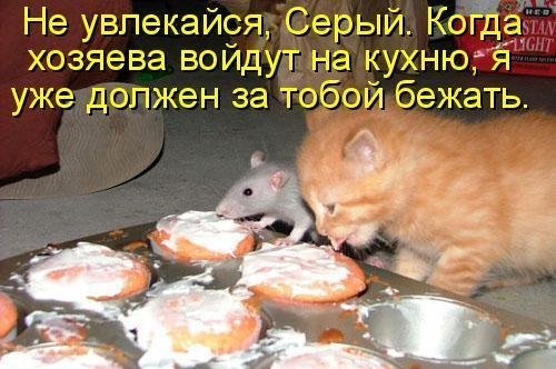 1246369719_jivotnie_27.jpg